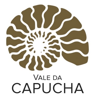 Logo Vale da Capucha