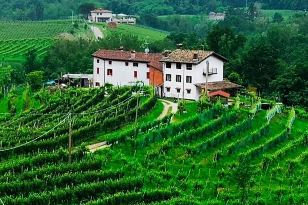 Weingut Ca' dei Zago