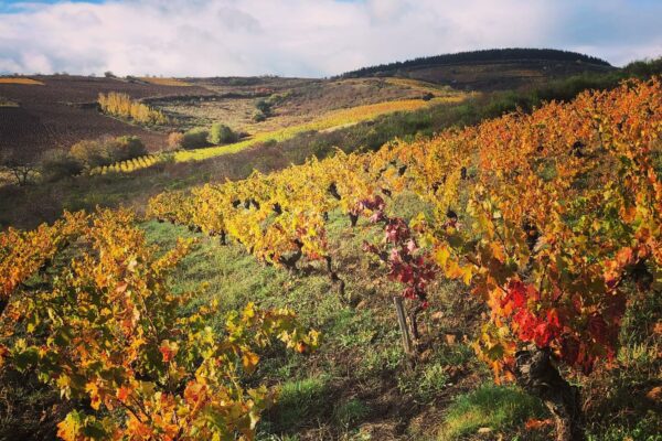 Bierzo im Herbst