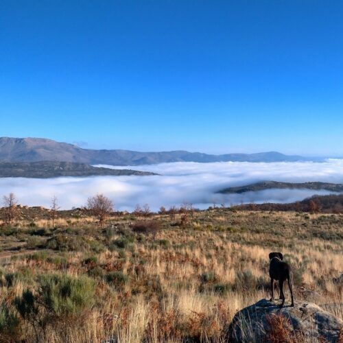Sierra de Gredos
